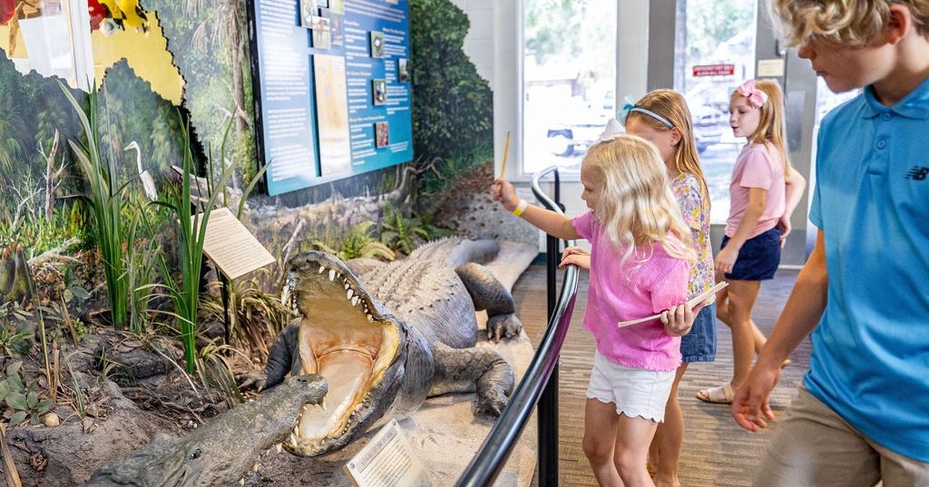 Indoor Adventures | Ocala / Marion County Florida