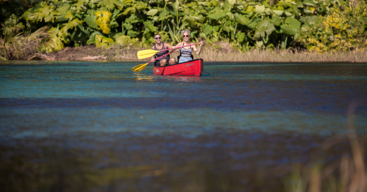 Top 5 Canoeing & Kayaking Spots in Ocala Ocala / Marion County Florida