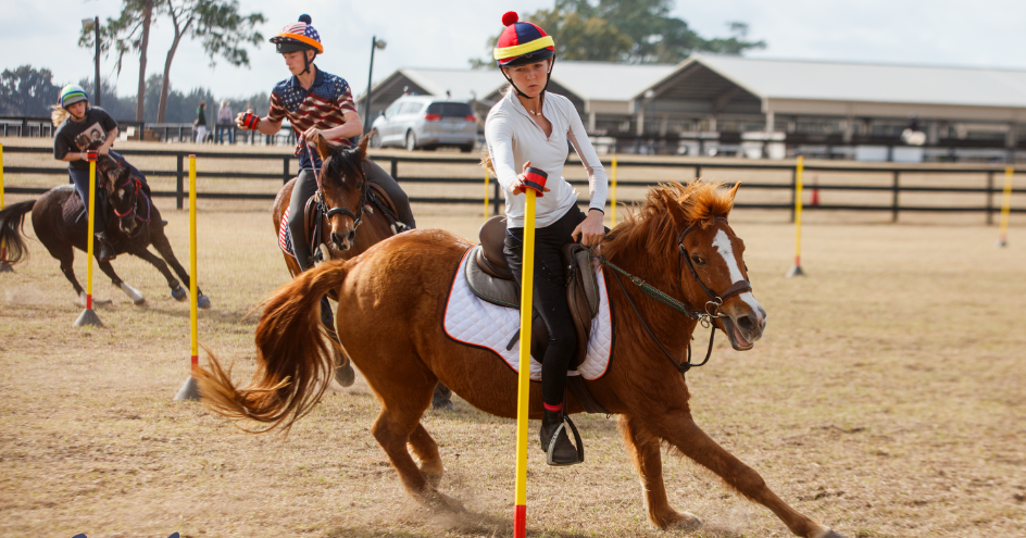 Southern Series Games: Florida Teams Finale
