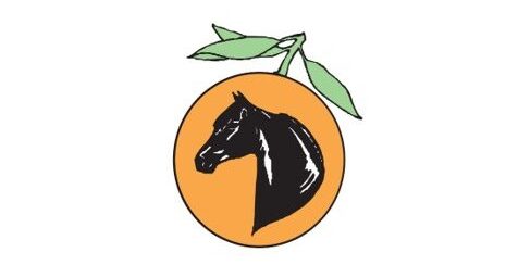 Citrus Cup Regional Horse Show