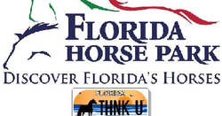 Florida Horse Park Ocala / Marion County Florida