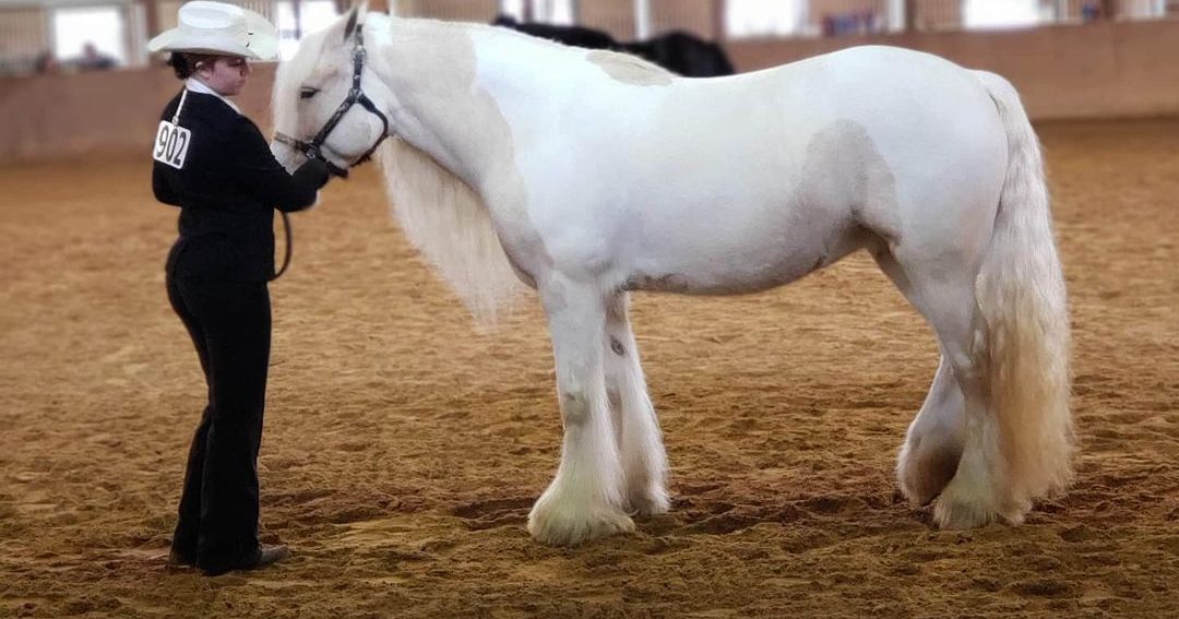 Tamarian Farms Equestrian Center Ocala / Marion County Florida